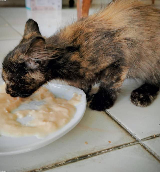 sQwUfRki